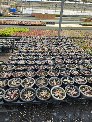 신상섭님의 기타작물 · 영농일지 작성글 사진