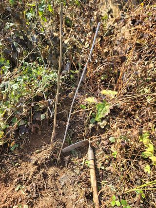 서성환님의 기타작물 · 영농일지 작성글 사진