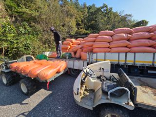 김정훈님의 복숭아 · 영농일지 작성글 사진