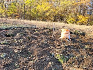 이름유순옥님의 기타작물 · 영농일지 작성글 사진