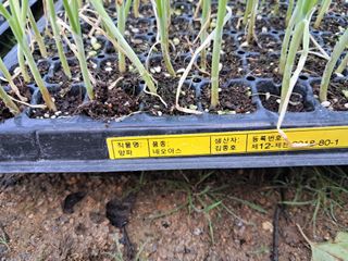 노재영님의 기타작물 · 영농일지 작성글 사진