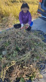 팜모닝 기타작물·영농일지 게시글 이미지