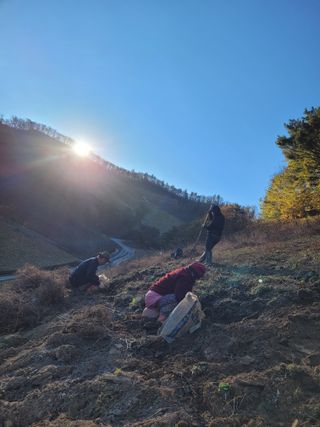 이름유순옥님의 기타작물 · 영농일지 작성글 사진