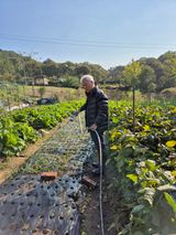 팜모닝 기타작물·영농일지 게시글 이미지