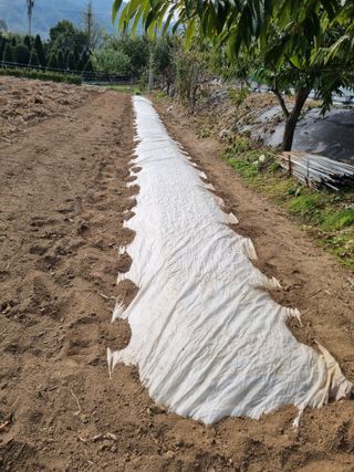 김정태님의 기타작물 · 영농일지 작성글 사진