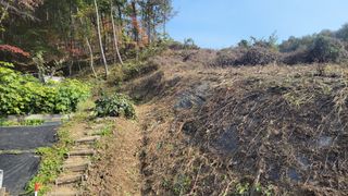 김홍중님의 기타작물 · 영농일지 작성글 사진