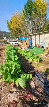 팜모닝 기타작물·영농일지 게시글 이미지