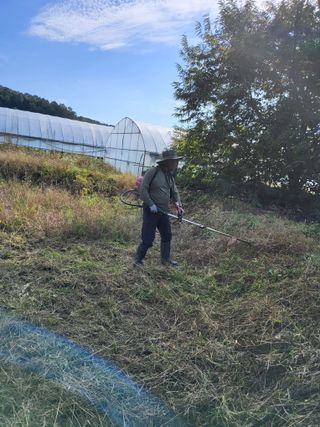 반봉현님의 기타작물 · 영농일지 작성글 사진