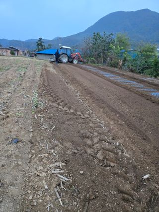삼성리이충환님의 마늘 · 영농일지 작성글 사진