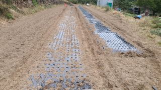 홍광희님의 기타작물 · 영농일지 작성글 사진