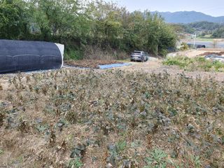 솔청님의 콩 · 영농일지 작성글 사진