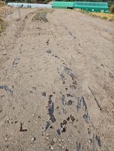 팜모닝 기타작물·영농일지 게시글 이미지