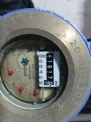 라이온3241님의 귤 · 영농일지 작성글 사진