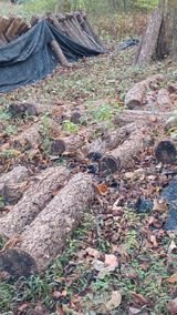 팜모닝 버섯·영농일지 게시글 이미지