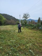 팜모닝 매실·영농일지 게시글 이미지