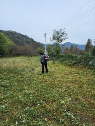 반봉현님의 매실 · 영농일지 작성글 사진