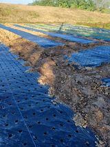 팜모닝 마늘·영농일지 게시글 이미지