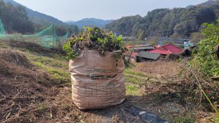 김홍중님의 기타작물 · 영농일지 작성글 사진