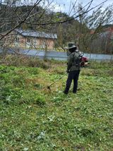 팜모닝 매실·영농일지 게시글 이미지