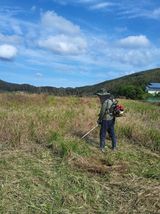 팜모닝 기타작물·영농일지 게시글 이미지