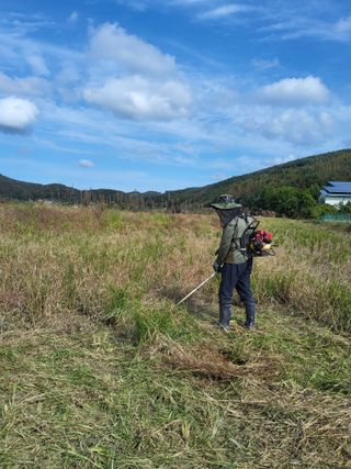 반봉현님의 기타작물 · 영농일지 작성글 사진