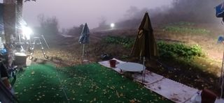 정연섭님의 기타작물 · 영농일지 작성글 사진