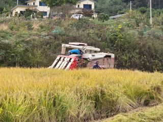김대기님의 기타작물 · 영농일지 작성글 사진