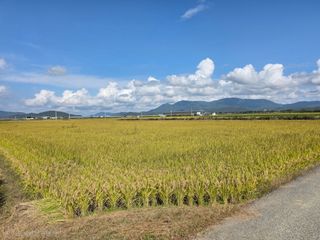 병섭님의 벼 · 영농일지 작성글 사진