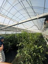 팜모닝 마늘·영농일지 게시글 이미지