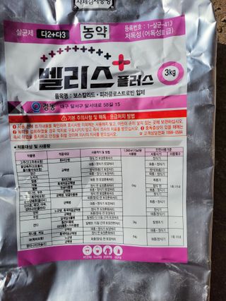 이시형님의 마늘 · 영농일지 작성글 사진