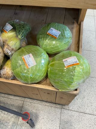 김영완님의 양배추 · 영농일지 작성글 사진