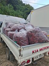 팜모닝 고추·영농일지 게시글 이미지