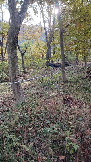 박준권님의 버섯 · 영농일지 작성글 사진