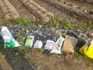 전선경님의 마늘 · 영농일지 작성글 사진