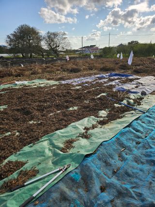박순자님의 기타작물 · 영농일지 작성글 사진