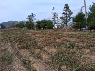 삼신령님의 콩 · 영농일지 작성글 사진