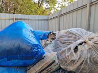 박병철님의 들깨 · 영농일지 작성글 사진