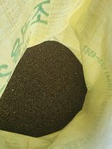 팜모닝 들깨·영농일지 게시글 이미지