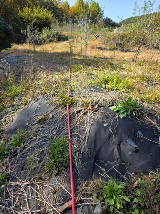 행운아님의 기타작물 · 영농일지 작성글 사진