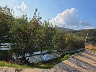 효진농원님의 기타작물 · 영농일지 작성글 사진