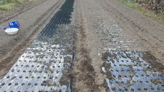 홍광희님의 기타작물 · 영농일지 작성글 사진