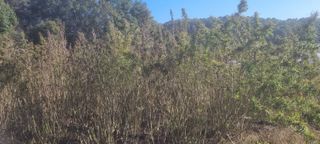 박사원농장님의 기타작물 · 영농일지 작성글 사진