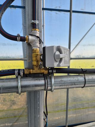 안병찬님의 딸기 · 영농일지 작성글 사진