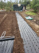 팜모닝 마늘·영농일지 게시글 이미지