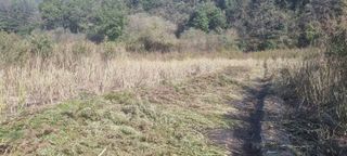 박사원농장님의 기타작물 · 영농일지 작성글 사진