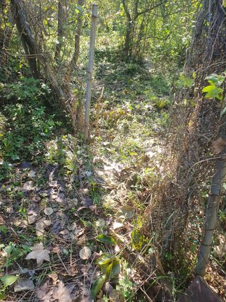 이영준님의 기타작물 · 영농일지 작성글 사진