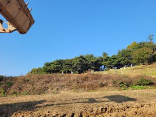 이름유순옥님의 기타작물 · 영농일지 작성글 사진