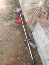 팜모닝 기타작물·영농일지 게시글 이미지