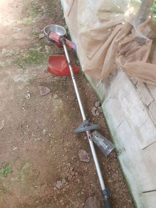 이영준님의 기타작물 · 영농일지 작성글 사진