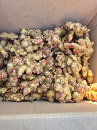 김연숙님의 기타작물 · 영농일지 작성글 사진